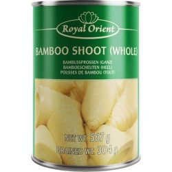 Bamboo Shoot Whole Bamboo Shoot Whole