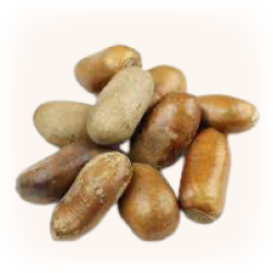 African Nutmeg (100 g)