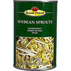 Soybean Sprouts in Water Soybean Sprouts in Water