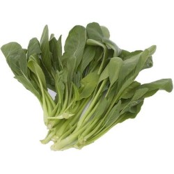 Choi Sam