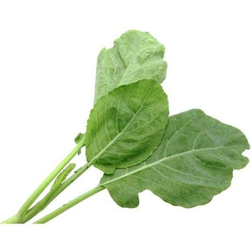 Kai Lan Kai Lan