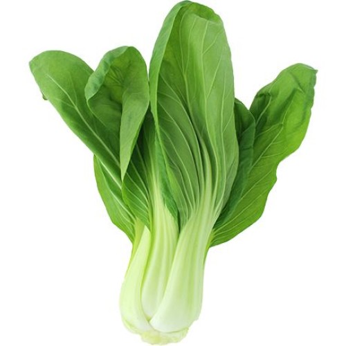 Shanghai Pak Choi