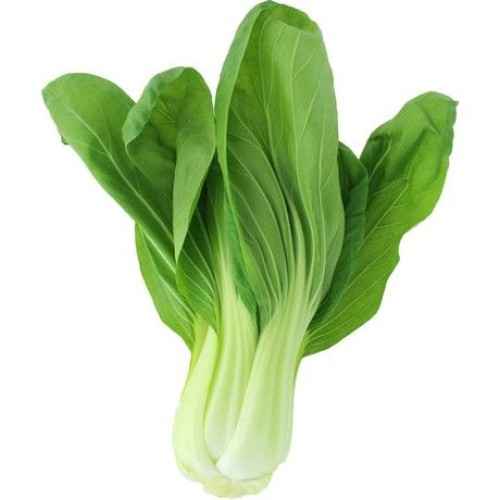 Shanghai Pak Choi