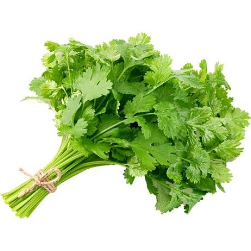Coriander