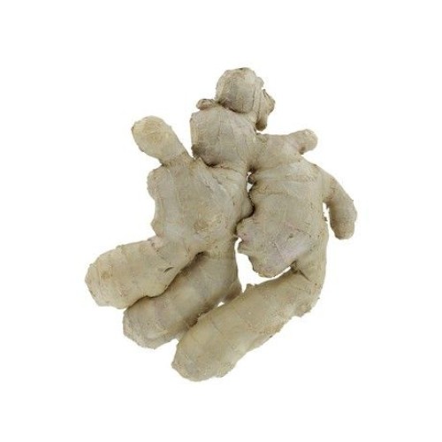 Ginger