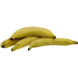 Plantain Yellow