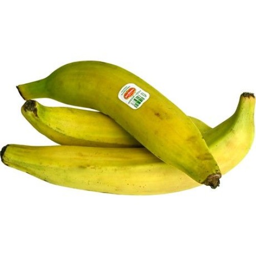Plantain Yellow