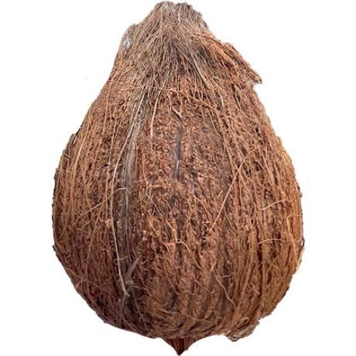 Coconut Semi Husked