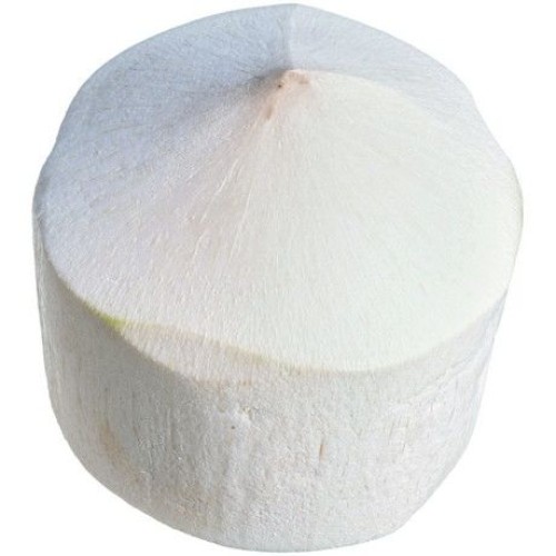 Coconut Young White