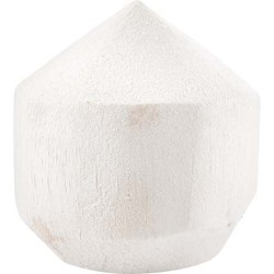 Coconut Young White