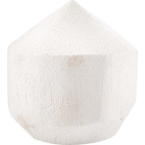 Coconut Young White