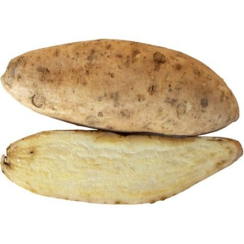 Sweet Potato White
