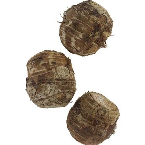 Taro