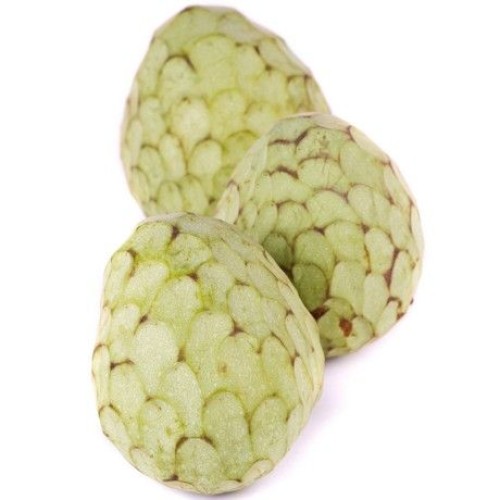 Cherimoya Cherimoya