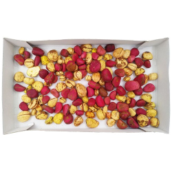 Cola Nuts Red/White Mix Cola Nuts Red/White Mix