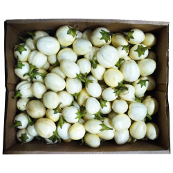 Garden Eggs White Garden Eggs White