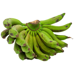 Matoki-Bitoke Matoki-Bitoke