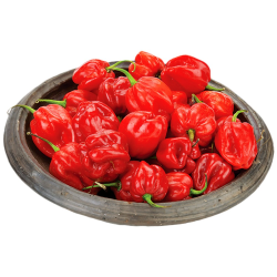 Pepper Hot Pili-Pili Red Uganda Pepper Hot Pili-Pili Red Uganda
