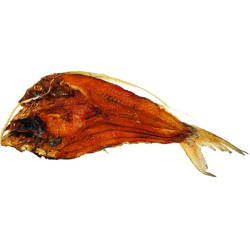 Koepila - Catfish Koepila - Catfish