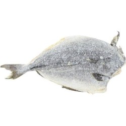 Saithe Dried & Salted 31/70