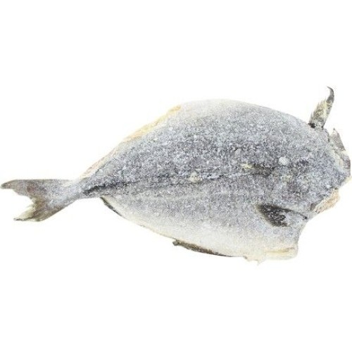 Saithe Dried & Salted 31/70