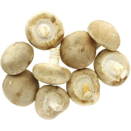 Shiitake