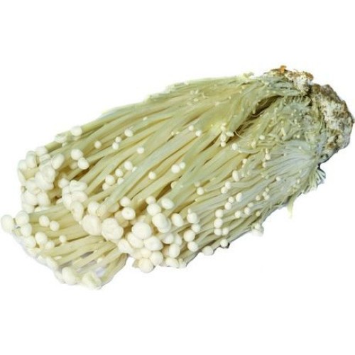 Enoki Golden Mushroom