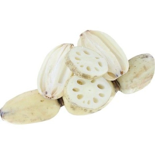Lotus Root Vacuum