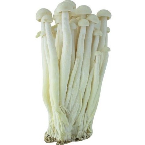 White Crab Mushroom