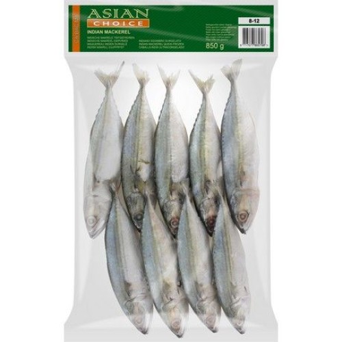 Indian Mackerel W/C 8/12
