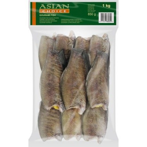 Gouramy Fish W/C 10/15