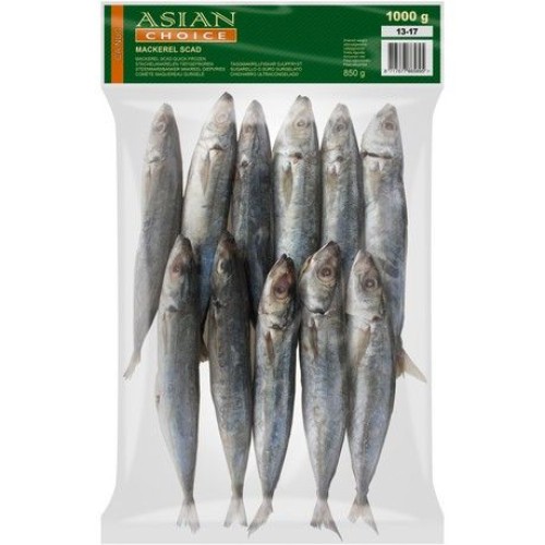 Scad Mackerel W/C 13/17