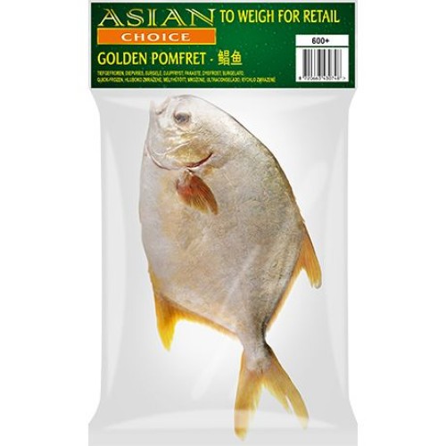 Golden Pomfret WR IWP 600+