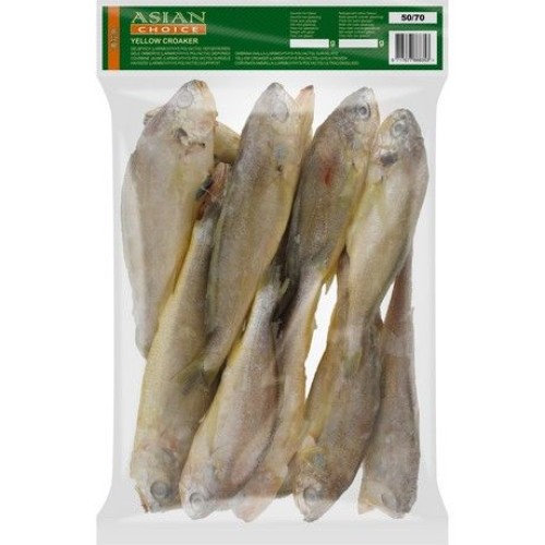 Yellow Croaker W/R 50/70
