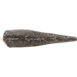 Hake TH&G IWP 8/1200