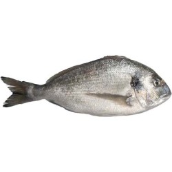 Sea Bream Dorade G&S IQF 400-600