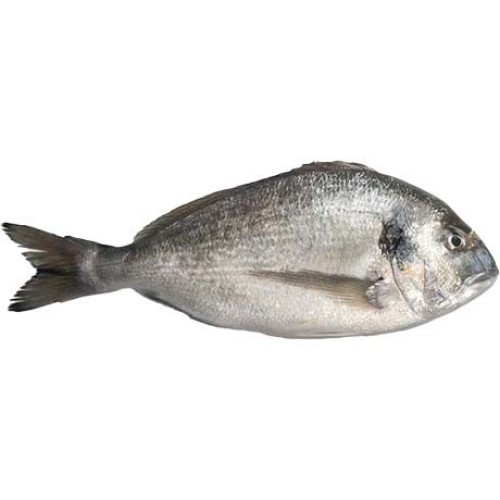 Sea Bream Dorade G&S IQF 400-600