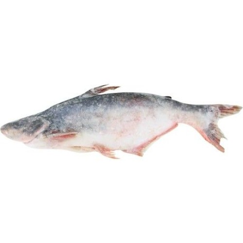 Pangasius W/C IQF 8/1200 Pangasius W/C IQF 8/1200