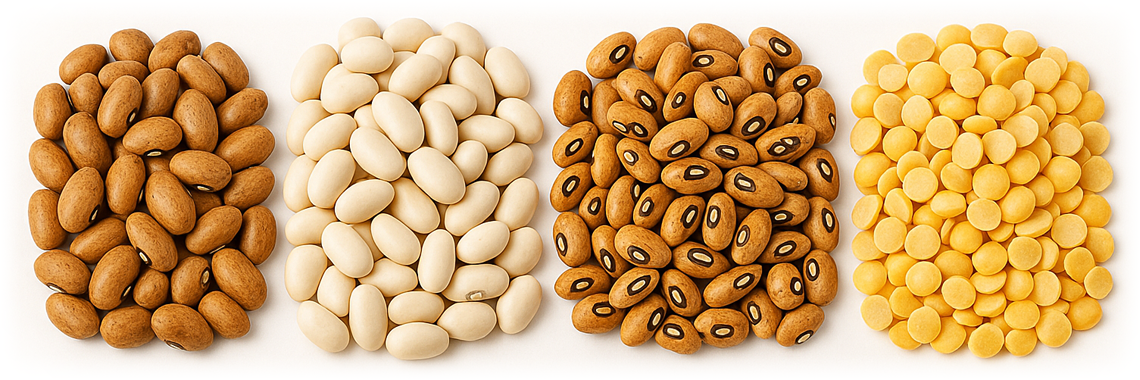Beans