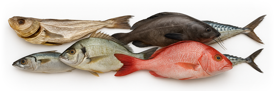 Fish