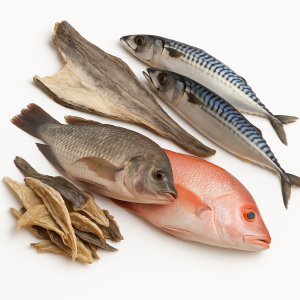 Fish Fish